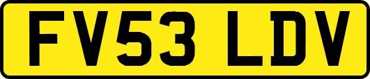 FV53LDV