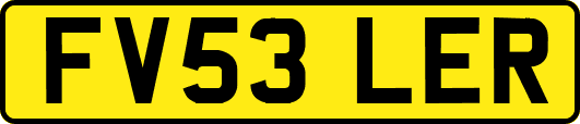 FV53LER