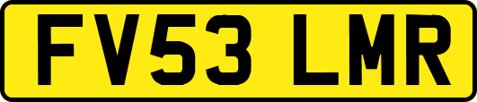 FV53LMR