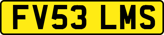 FV53LMS