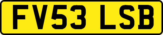 FV53LSB
