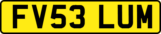 FV53LUM