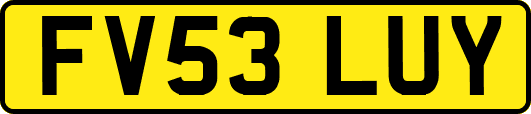 FV53LUY