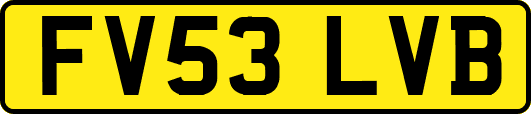 FV53LVB