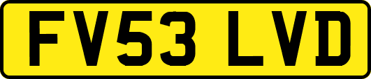 FV53LVD