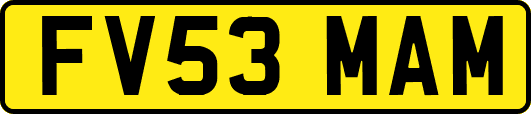 FV53MAM