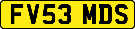 FV53MDS