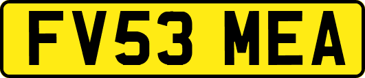FV53MEA