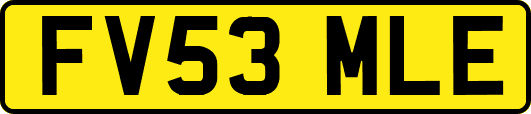 FV53MLE