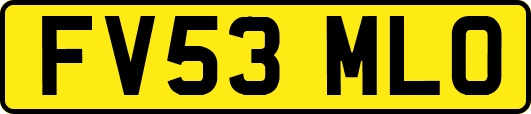 FV53MLO