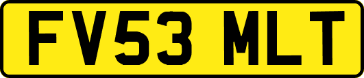 FV53MLT