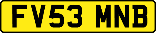 FV53MNB