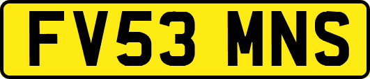 FV53MNS