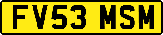 FV53MSM