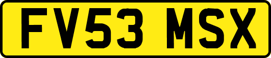 FV53MSX