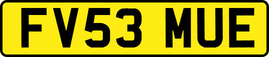 FV53MUE