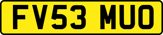 FV53MUO