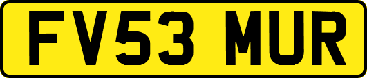 FV53MUR