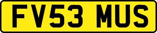 FV53MUS