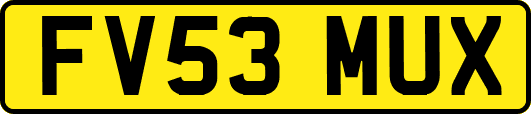 FV53MUX