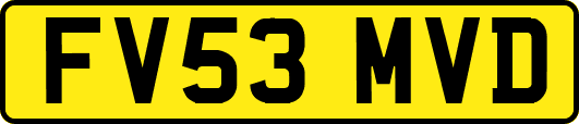 FV53MVD