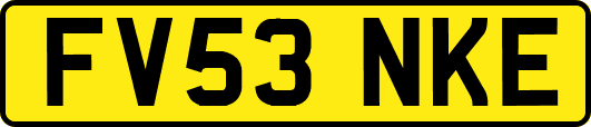 FV53NKE