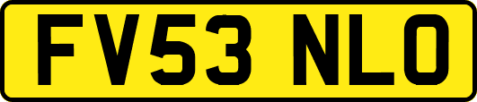 FV53NLO