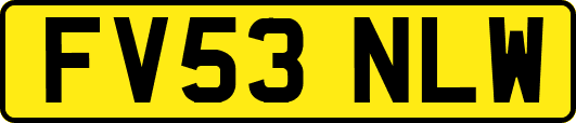 FV53NLW