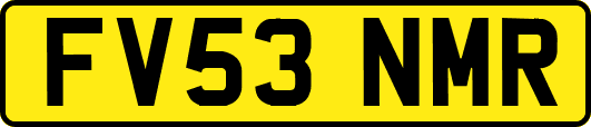 FV53NMR