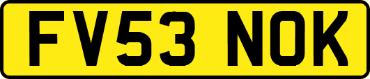 FV53NOK