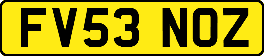 FV53NOZ