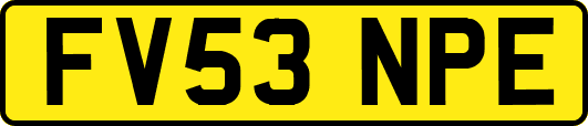 FV53NPE