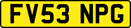 FV53NPG