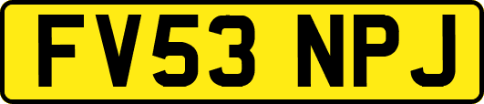FV53NPJ