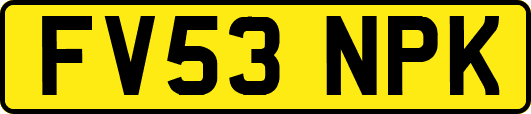 FV53NPK