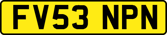 FV53NPN