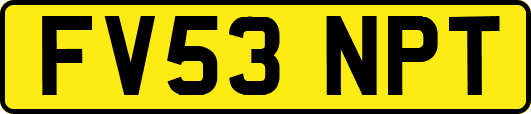 FV53NPT