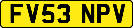 FV53NPV
