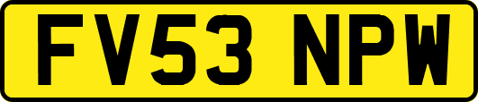 FV53NPW