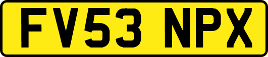 FV53NPX