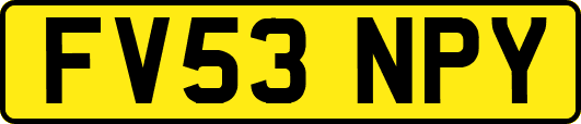 FV53NPY