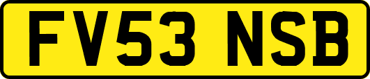 FV53NSB