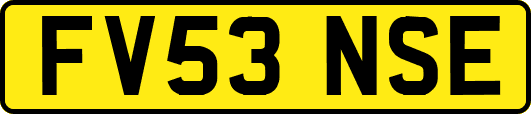FV53NSE
