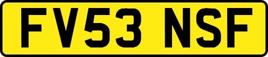 FV53NSF