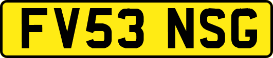 FV53NSG