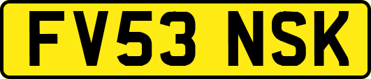 FV53NSK