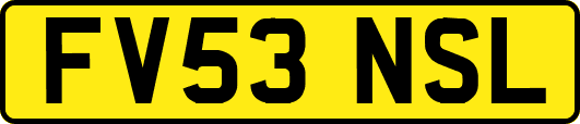 FV53NSL