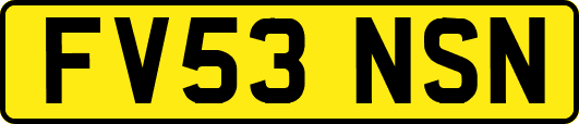 FV53NSN