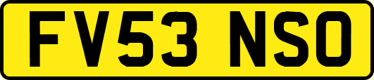 FV53NSO