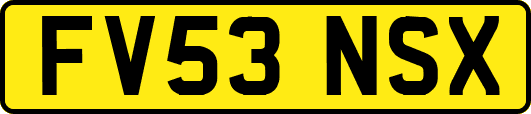 FV53NSX